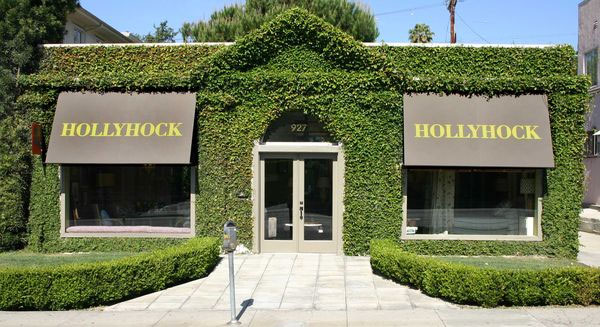 Hollyhock Los Angeles