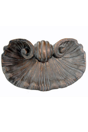 Scallop Shell
