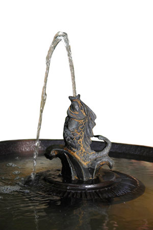 Kettle Fish